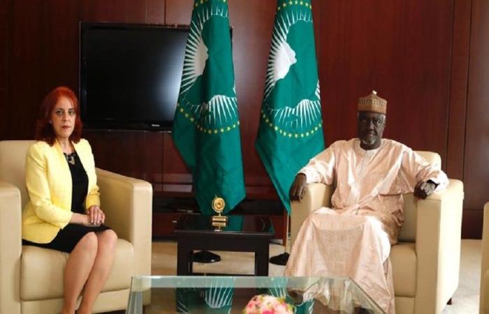 “طائش”… الجزائر تحتج على قرار رئيس مفوضية الاتحاد الإفريقي