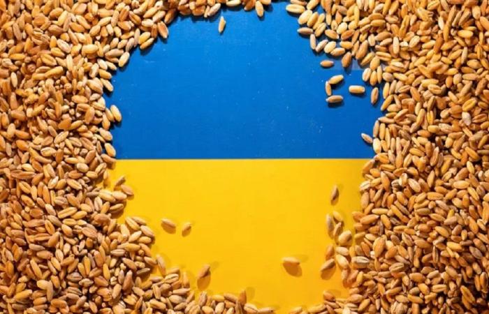 دولة أوروبية جديدة تحظر استيراد الحبوب الأوكرانية