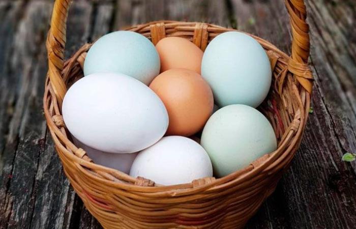 9 فوائد مدهشة لتناول البيض في الصباح