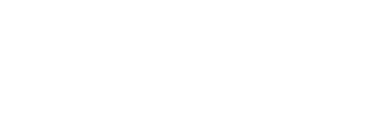 أسد-و10-كلاب-و25-قطة.-رجل-أعمال-مصري-يحول-منزله-لحديقة-حيوان!